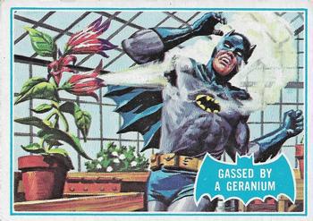 1966 Topps Batman Series B Gassed by a Geranium #33B card