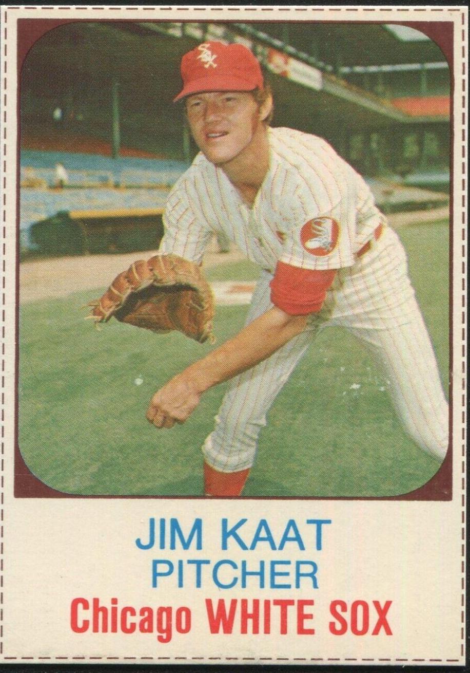 1975 Hostess Jim Kaat [Hand Cut] #110 card
