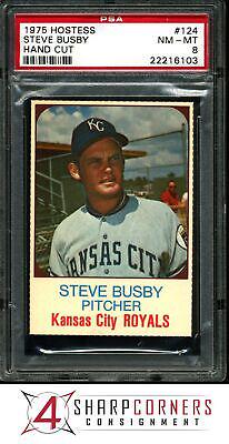 1975 Hostess Steve Busby [Hand Cut] #124 card