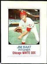 1975 Hostess Twinkies Jim Kaat [Hand Cut] #110 card