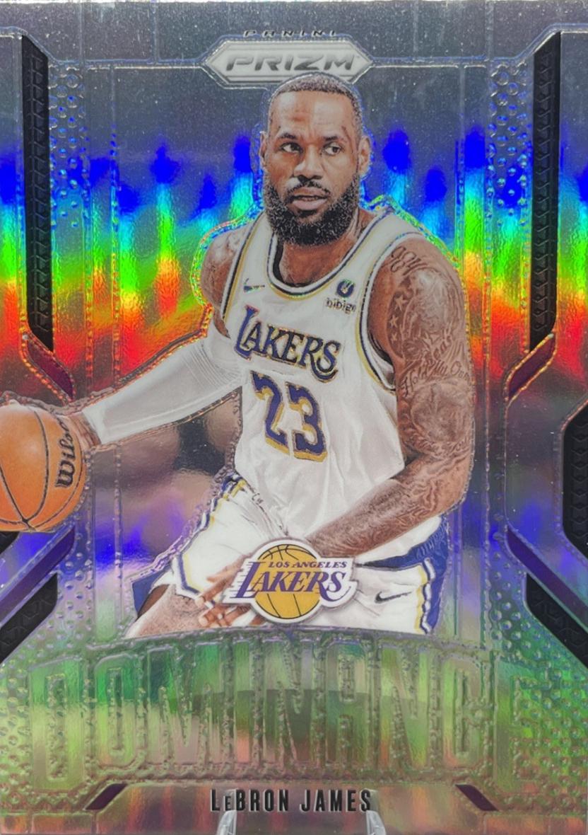 2024 Panini Prizm Dominance LeBron James [Silver] #14 card
