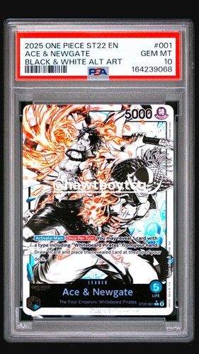 2025 Starter Deck 22: Ace & Newgate Ace & Newgate [Alternate Art] #ST22-001 card