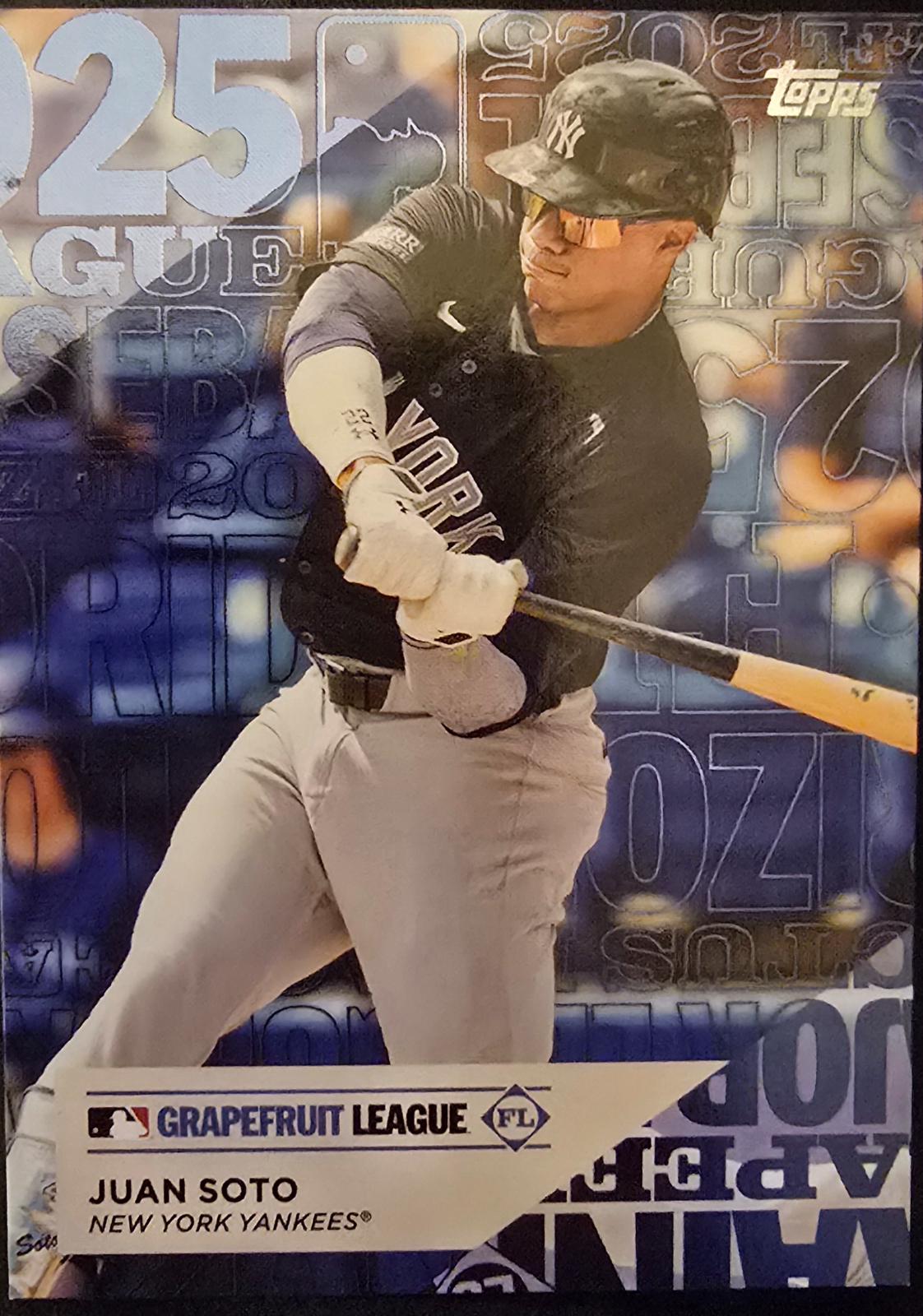 2025 Topps Training Ground Juan Soto #TG-22 card